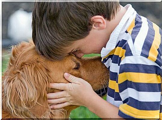 Does your child love pets?  Learn about the benefits of having animals