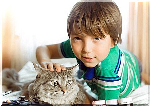 boy with a cat