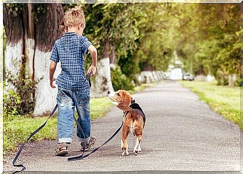 child walking a dog