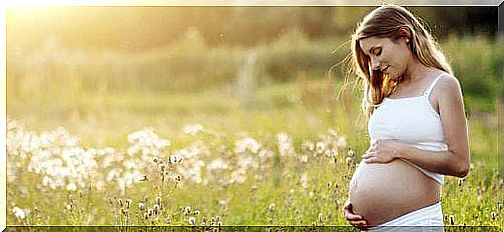 pregnant woman in a field caressed her belly.