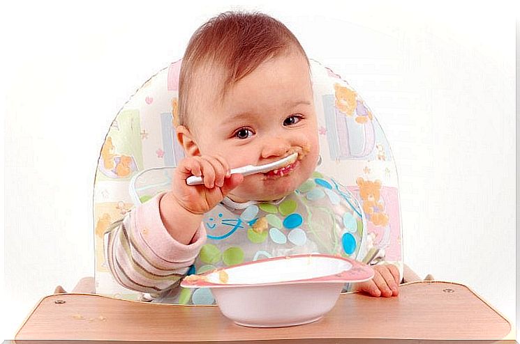 Sweet Recipes for Babies